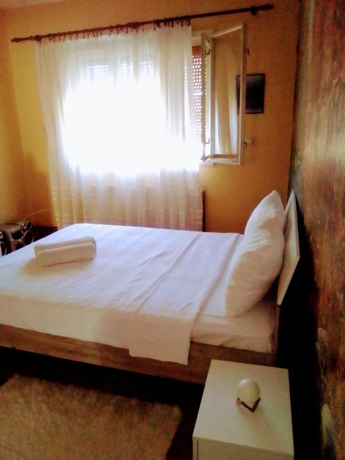 Timocko Gnezdo Guest House Zajecar Exterior photo